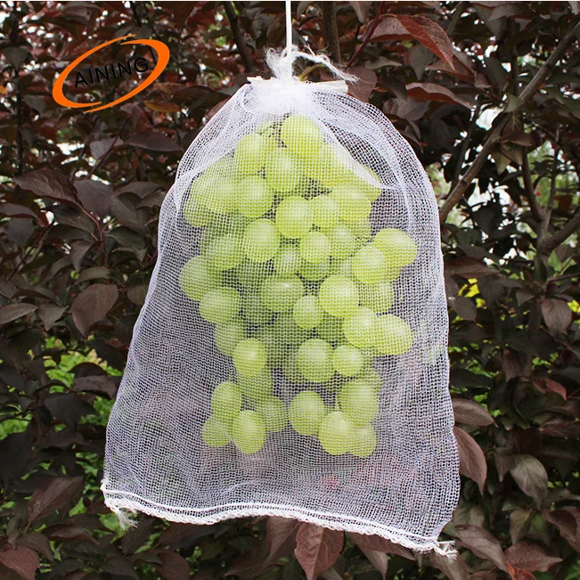 Sacchetto di copertura di protezione dell'uva della mela del Mango della  frutta del Mango dell'uva di dimensione su misura Guava