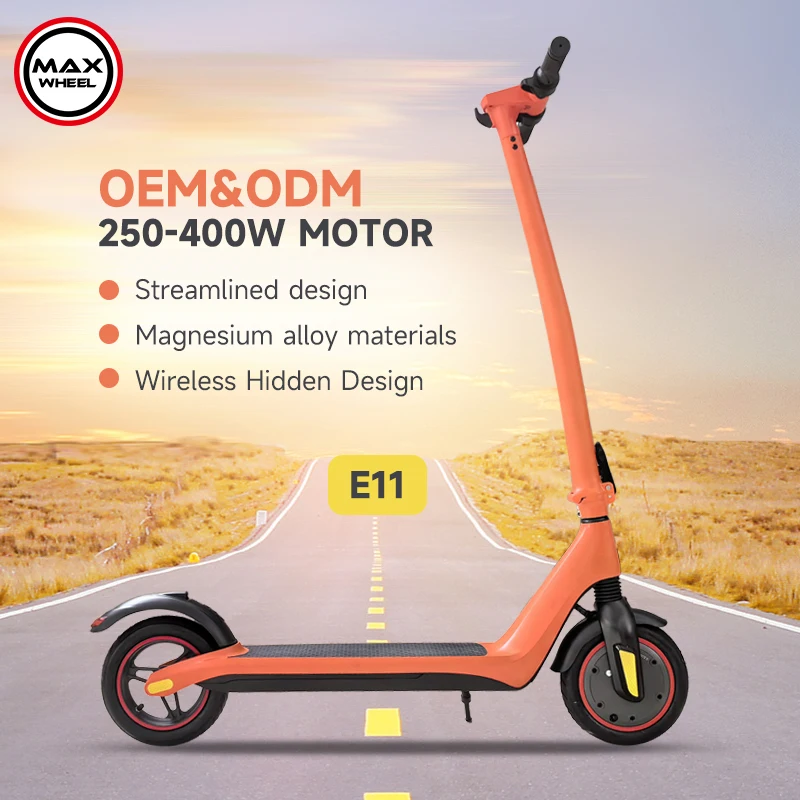 China Factory Customized 350w 36v Streamlined Magnesium Alloy Citycoco Scooter E11 Adult Folding Portable Electric Scooter