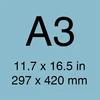 A3 Taille