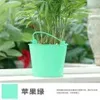 Vert pomme-10kg