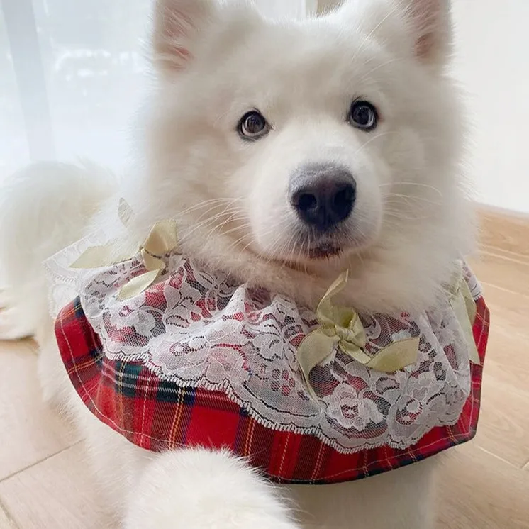 Dog Clothes Pet Dress Red Plaid Lace for Samoyed Labrador Medium and Large  Dogs