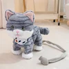 gatto