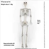 esqueleto de 165 cm
