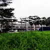 Plata