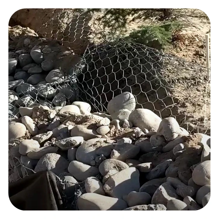 High quality hot Dipped wire mesh chain link fence for garden