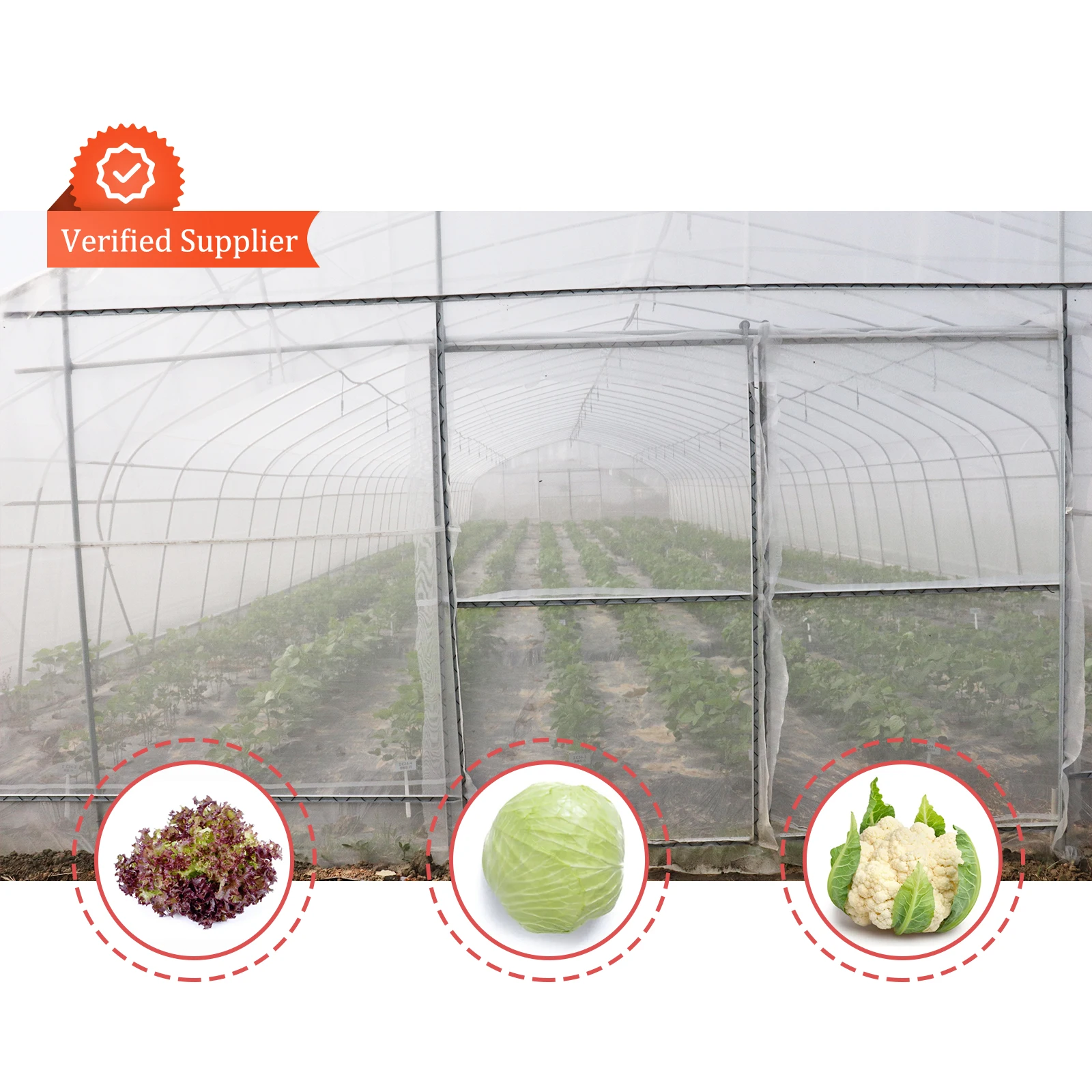 Plastic Film Conservatory Single Span Tunnel Plant Growing House Hydroponic Dome Greenhouse
