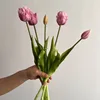 สีม่วงอ่อน