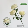Three diamond roses-white