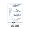 WS-G087