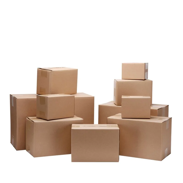 China Factory Custom High Quality Clear 8 10 12 24 Cells Disposable