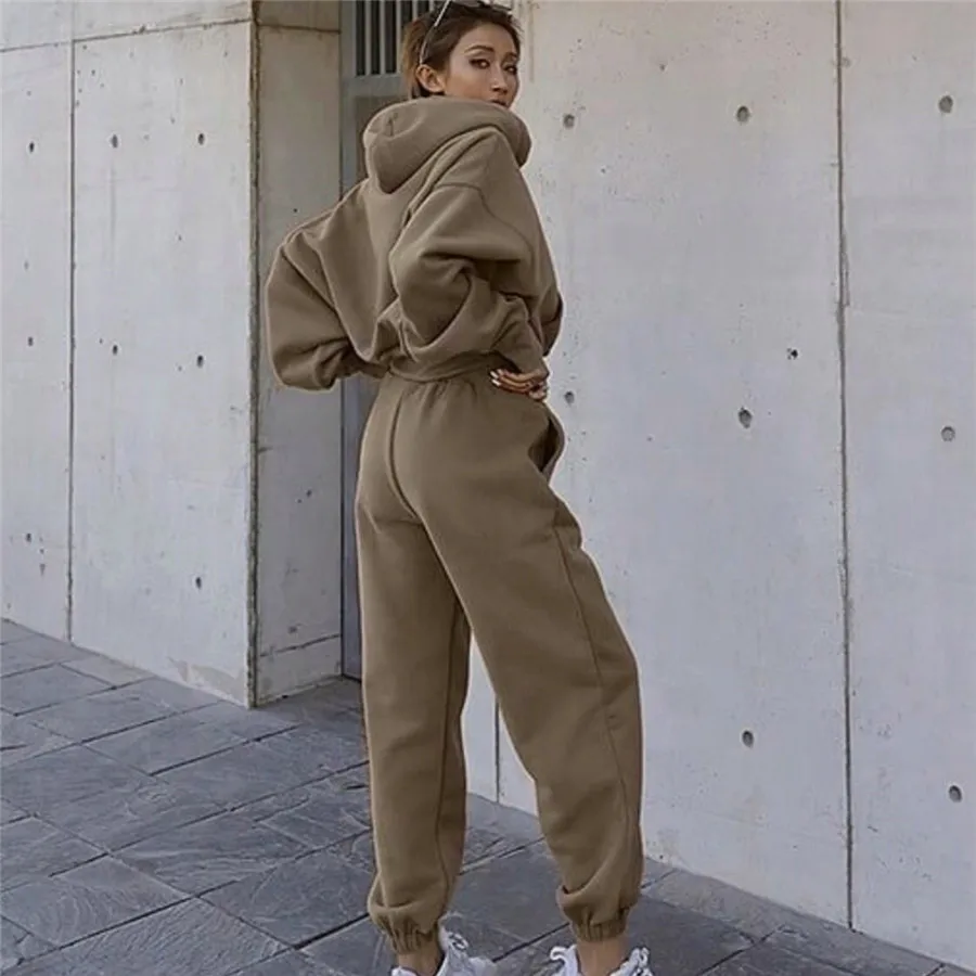 Autumn Hooded Terry Casual Solid Color Sweatshirt and Long Pants Sports Two-Piece Set OD preview