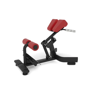 Commercial Fitness Equipment 45 degree Extension Hyperextension Back Exercise Roman Chair