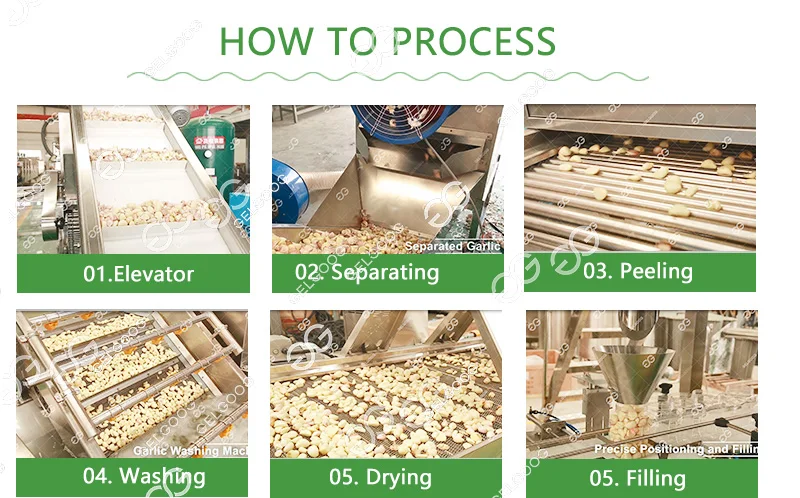 Automatic Large Peeled Garlic Sorter Selecting Peeling Processing Equipment Break Garlic and Peeler Machine 500Kg
