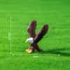 colorful 4 Large Soaring
