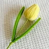 #8 light yellow tulip