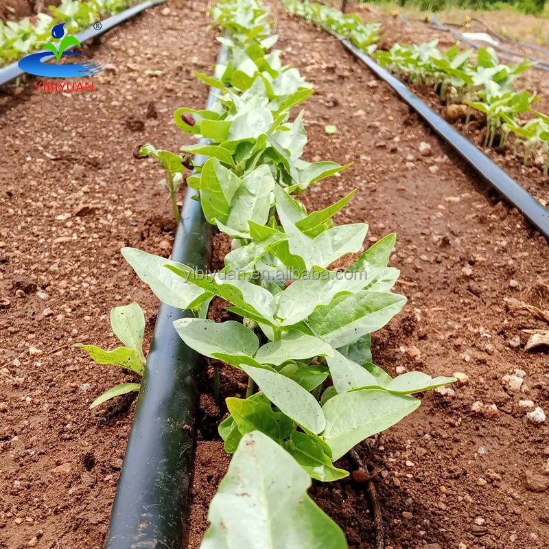 Yibiyuan 16mm Plastic Drip Pipe 0.2-0.4mm Wall Thickness 1.38-3.0L/H Flow Rate Easy Installation for Agricultural Irrigation