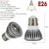 Silvery-e26