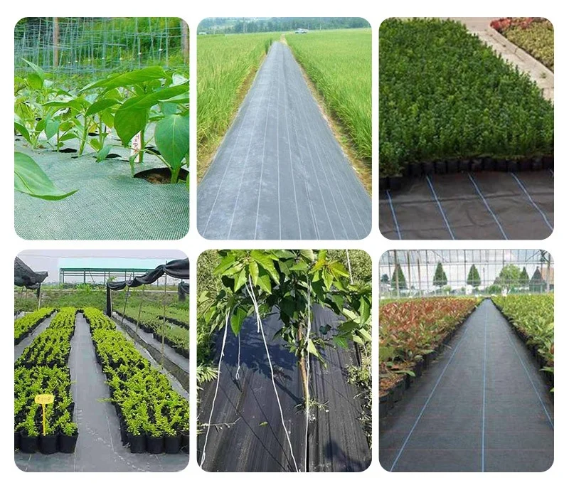 Pp Non Woven Fabric Hydrophilic Weed Control Mat pp Non Woven Landscape ...