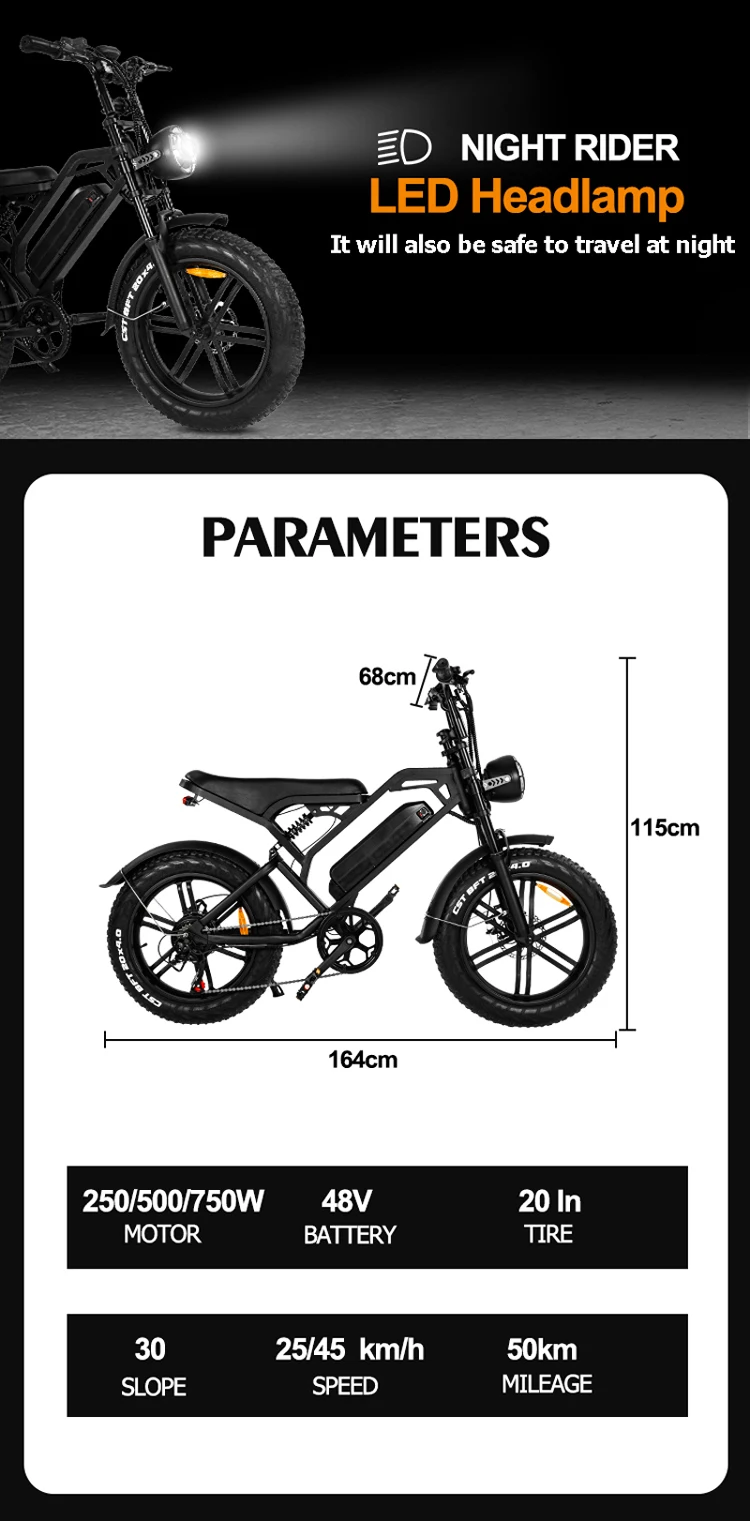 Factory Price Mountain Electric Bicycle Fat Tire Ebike Cheap Electric