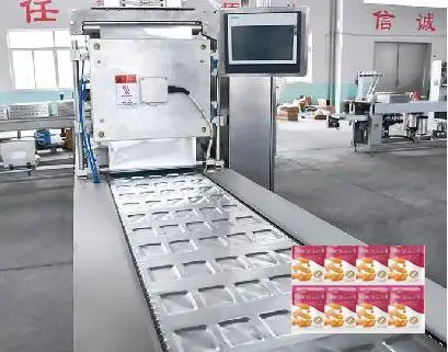 Best Offer Easy-to-Operate Vacuum Packaging Machine for Food Beverages Liquid Filling Vakuumforming Skin Packaging Machine for Bags Pouches - Image 3