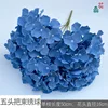 Five-headed hydrangea LS Dark Blue