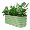 Apple green