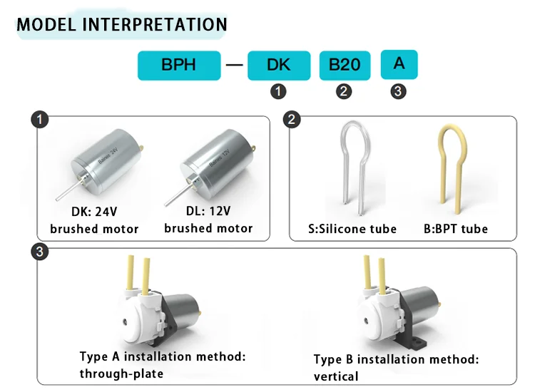 High Efficiency BPH-DKB30B 24V 5W DTF Printer Compatible Peristaltic Circulation Pump White Ink Circulation Pump for DTF Printer manufacture