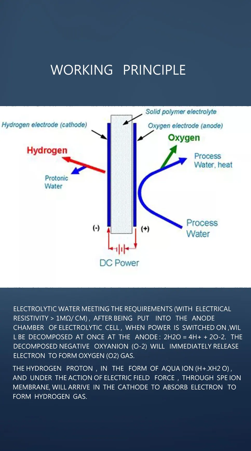 Cawolo New Business Hydrogen Fuel Cell System Hydrogen Fuel Cell 1kw