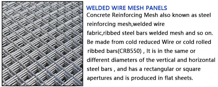 2x2 Welded Wire Mesh Panel High Quality Welded Wire Mesh Panel Used As Chicken Coop for Poultry Farming