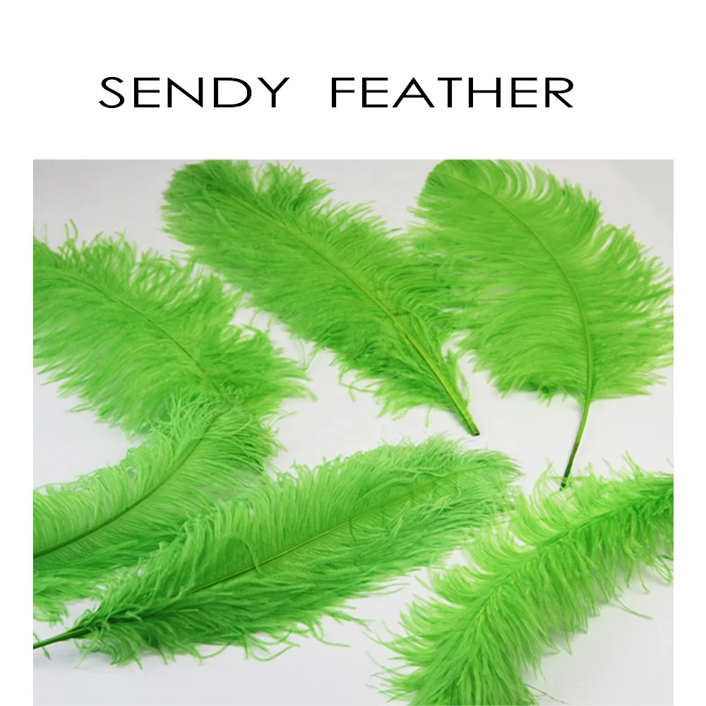 カーニバル衣装 レッド フェザー 純正ダチョウ羽 卸売フェザーサプライヤーパーティーフェザー染め人工ダチョウ羽