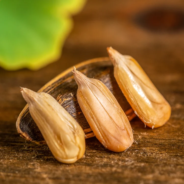 sunflower seeds kernels 01.png
