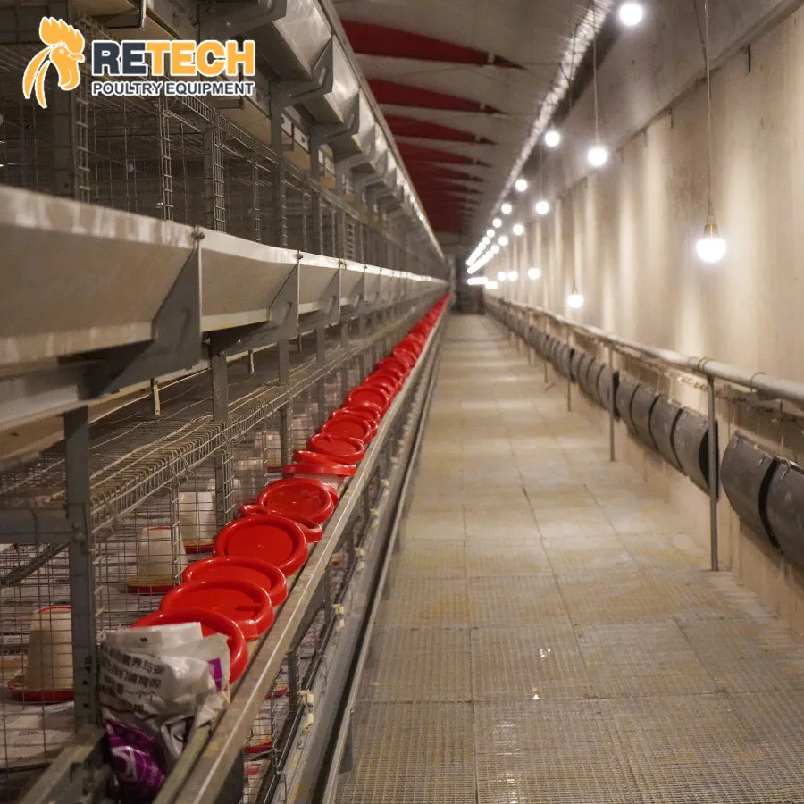 Fully Automatic H Type 1 Day Old Baby Layer Chicks Chicken Cage for Laying Hens