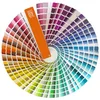 Pantone