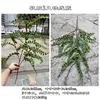 Soft gel 3-prong staghorn fern