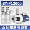 BY-P12000