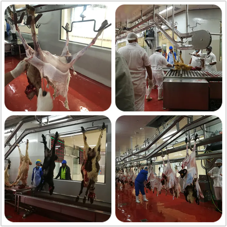 Kosher beef and mutton cutting machine butcher slaughterhouse