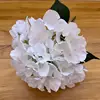 Pure White