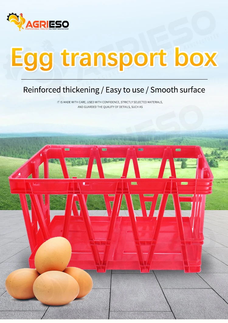 Plastic Egg Crates For Transportation 360 Egg Transport Crate Plastic