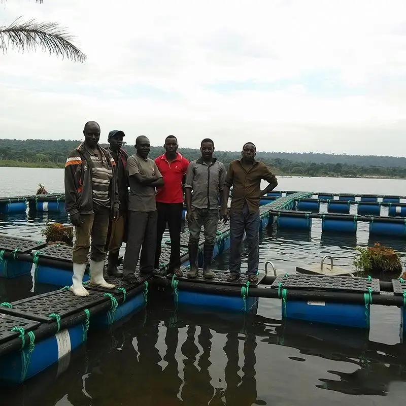 Клетка для рыбы/пластиковый понтон/плавающая аквакультуры для рыбалки