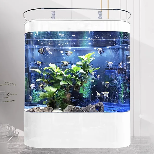 AC series curving tank system Arowana Aquarium with top filtration or sump tank