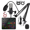 bm800 Silver +KSA3 English + Headphones