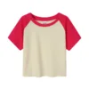 Rose red  apricot
