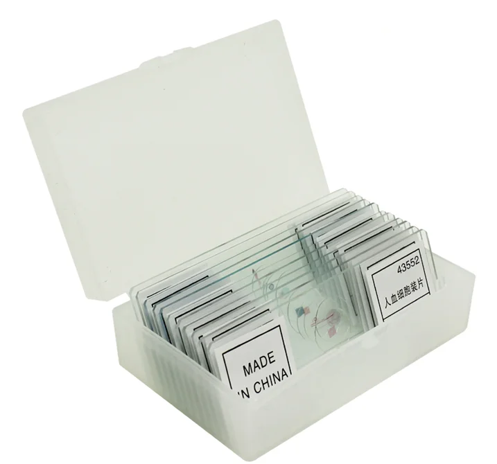 Medical Insects Mosquito Prepared Microscope Glass Slides Set F Lab ...