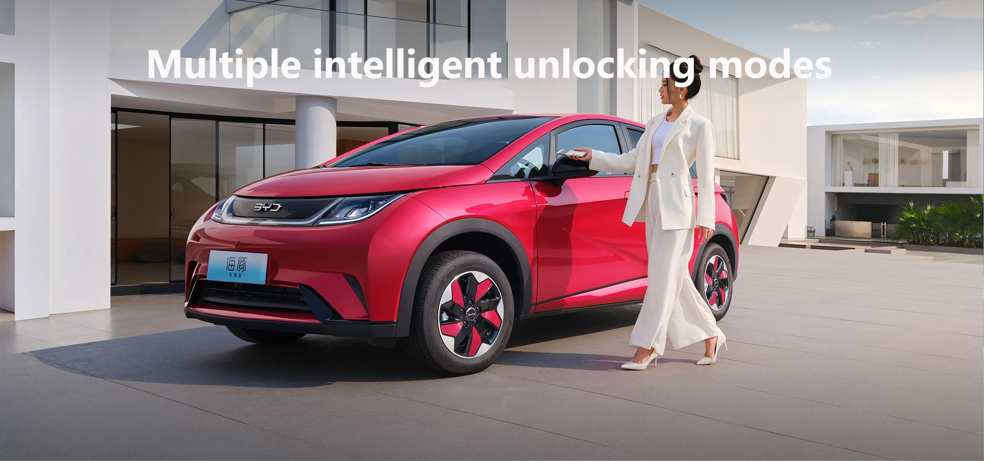 20222023 Byd Dolphin Ev New Energy Electric Suv Rhd Ev Cars Made In