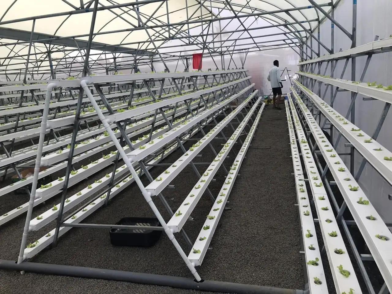 cheap hydroponic system