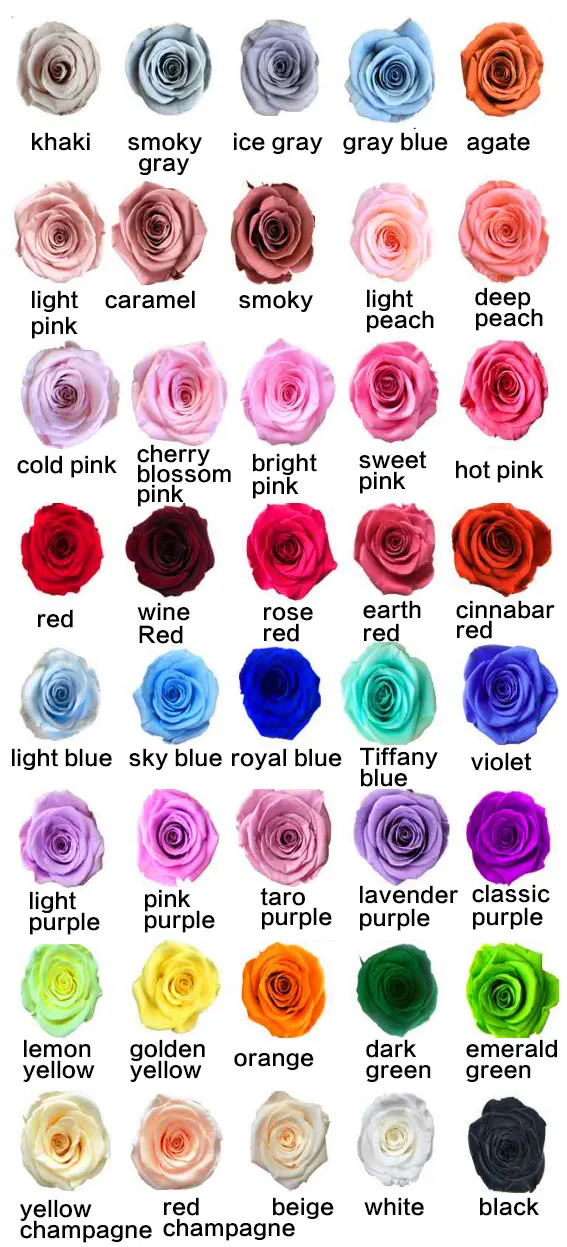 product high quality new designed long lasting preserved roses in box for christmas wedding valentines day gift wholesale-63