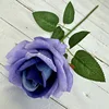 Blu-viola