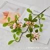 Flores de primavera insulares de ramas cortas - blancas y rosas