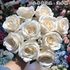 10 teste primavera rosa champagne chiaro