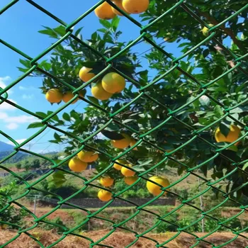 Wholesale 4ft 5ft 6ft 8ft 10ftchainlink Fence Wire Rollchain Link Fence Rolls 2 Meters High